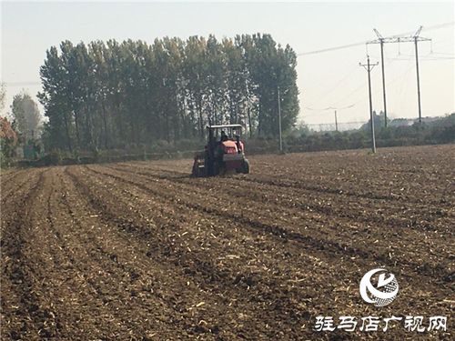 噸源種業(yè)召開 福高2號(hào) 播種現(xiàn)場(chǎng)會(huì)