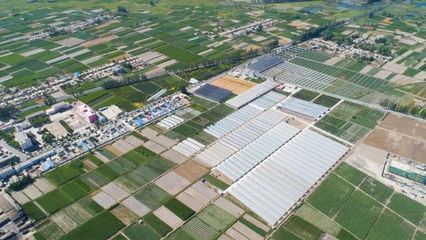 地展征集!第五屆酒泉現(xiàn)代種業(yè)博覽會(huì)來了