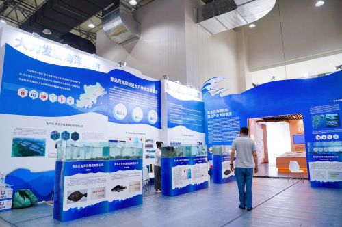 做好 藍(lán)色種業(yè) 大文章 西海岸新區(qū)水產(chǎn)企業(yè)亮相2024青島種業(yè)博覽會