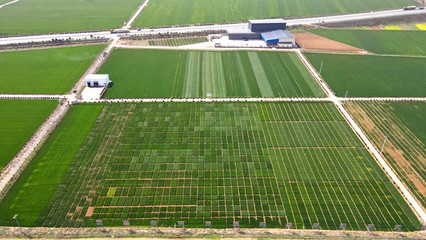 【牢記囑托 建成支點(diǎn)】扶輪農(nóng)業(yè):推動種業(yè)創(chuàng)新 加速科技成果轉(zhuǎn)化