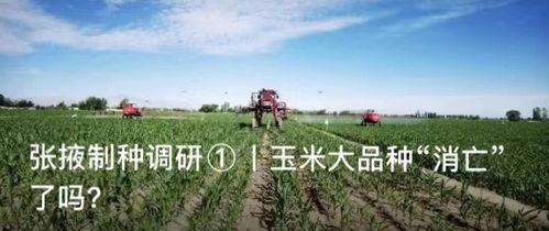 種業(yè)大事件丨廣東 四川 山西 天津等地有啥新動作