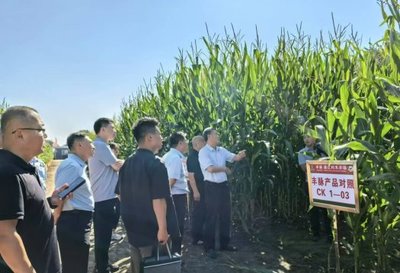 鄭州市農(nóng)業(yè)農(nóng)村局來我市調(diào)研種業(yè)工作 共話種業(yè)發(fā)展新篇章